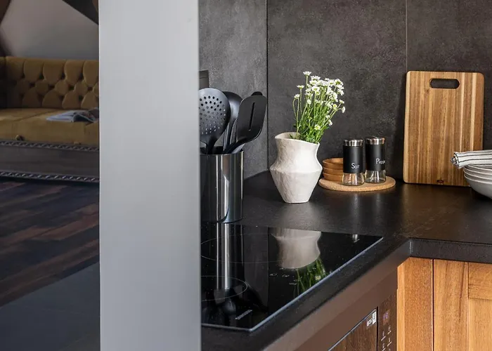 Διαμέρισμα Polana Pod Nosalem - Zachod *